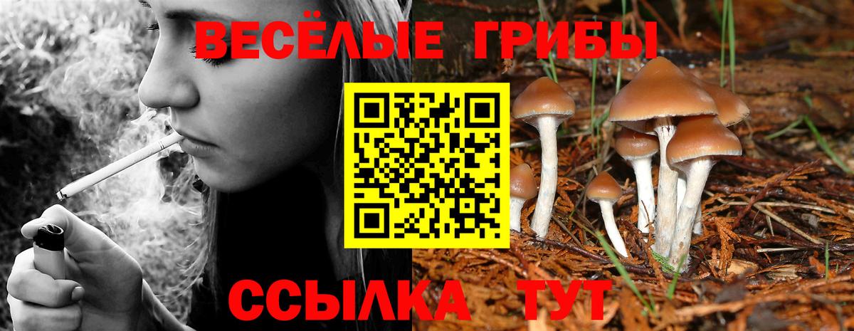 Псилоцибиновые грибы Magic Shrooms Ялуторовск
