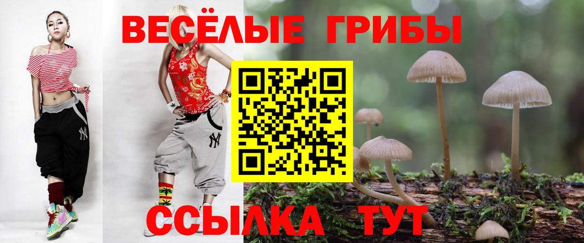 Псилоцибиновые грибы Cubensis  хочу наркоту  Ялуторовск  Вход с VPN  Галлюциногенные грибы мицелий 